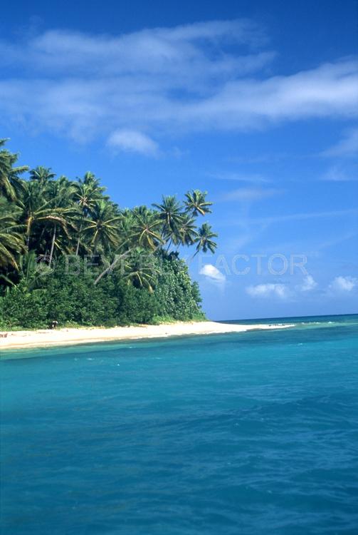 Island;fiji;blue water;Palm trees;Blue skys;ocean